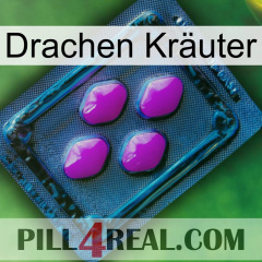 Drachen Kräuter 04